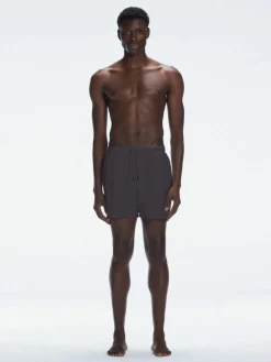 Louis Grey Swim Shorts